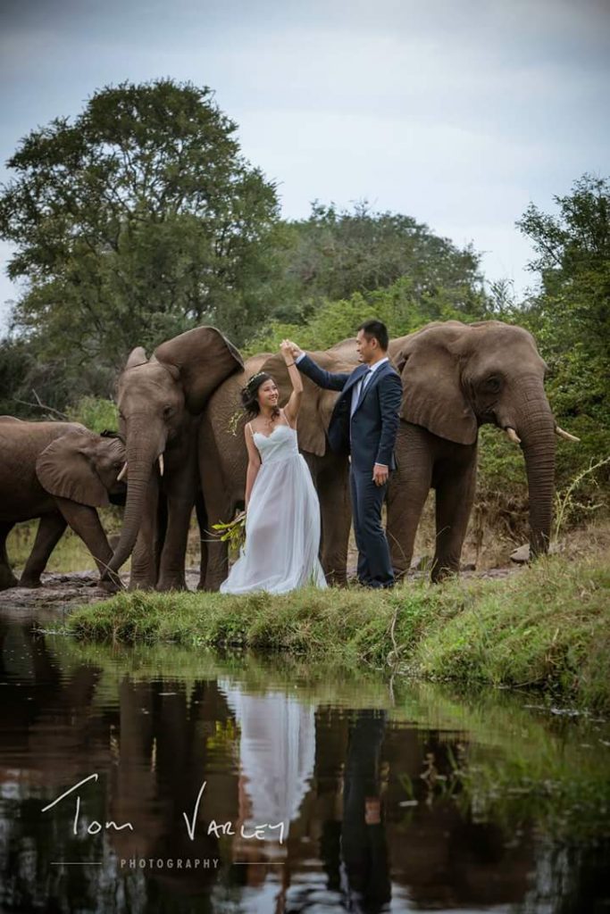 10+ Wedding Photographs Captured By Southern African Photographers