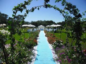 Bella Rosa Bulawayo Wedding Venue - Zimbabwe wedding venues on Wedding Expos Africa Blog