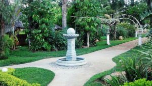 Green Gardens wedding Venue - Zimbabwe Wedding Venues