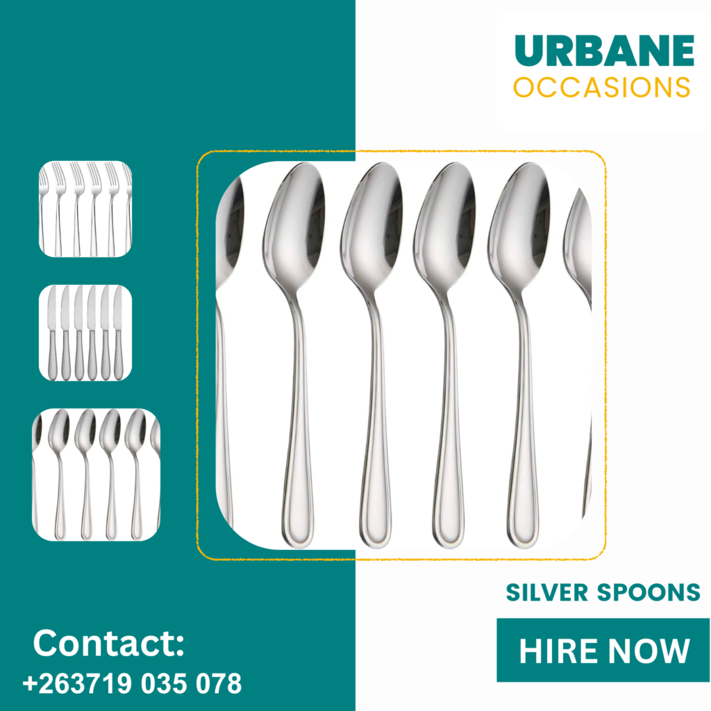 Harare decor Equipment for hire - silver spoons for hire in Harare 