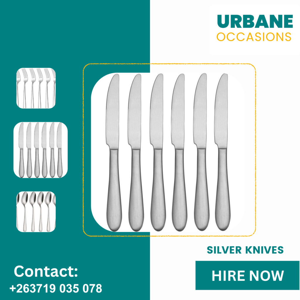 Harare decor Equipment for hire - silver knives for hire in Harare 